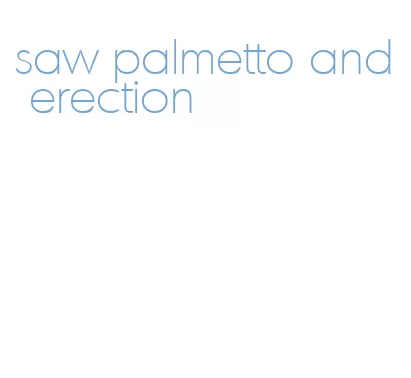 saw palmetto and erection