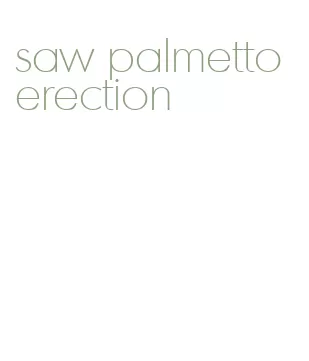 saw palmetto erection