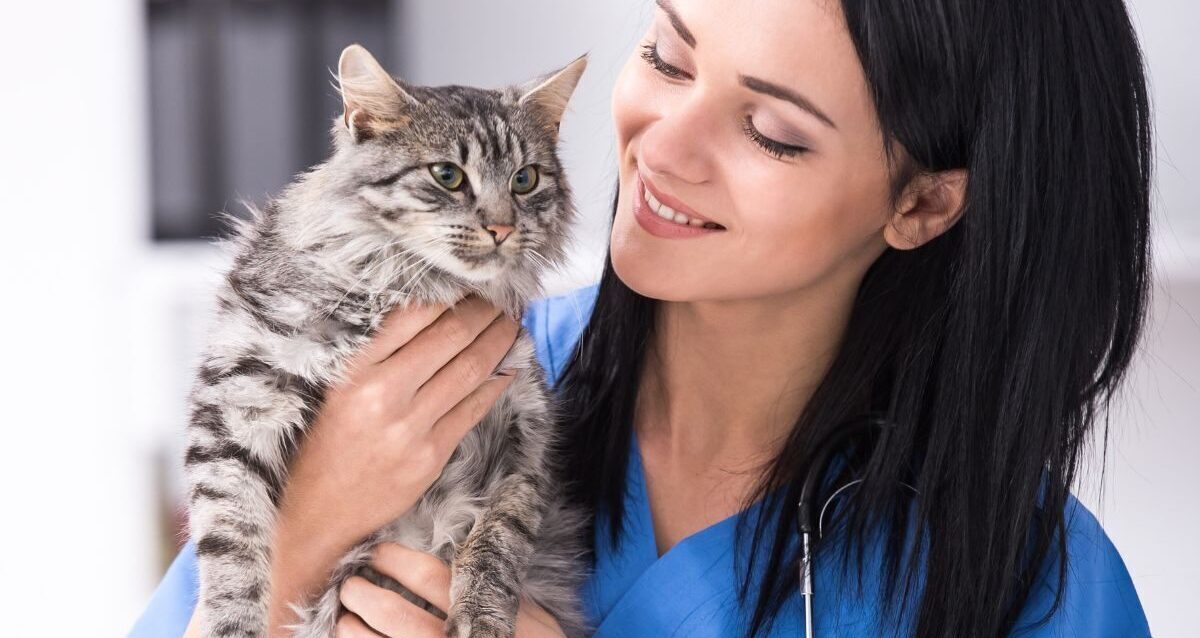 Programas en Protección Radiológica para el Sector Veterinario